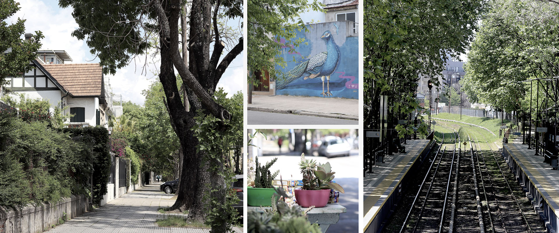 Barrio de Coghlan